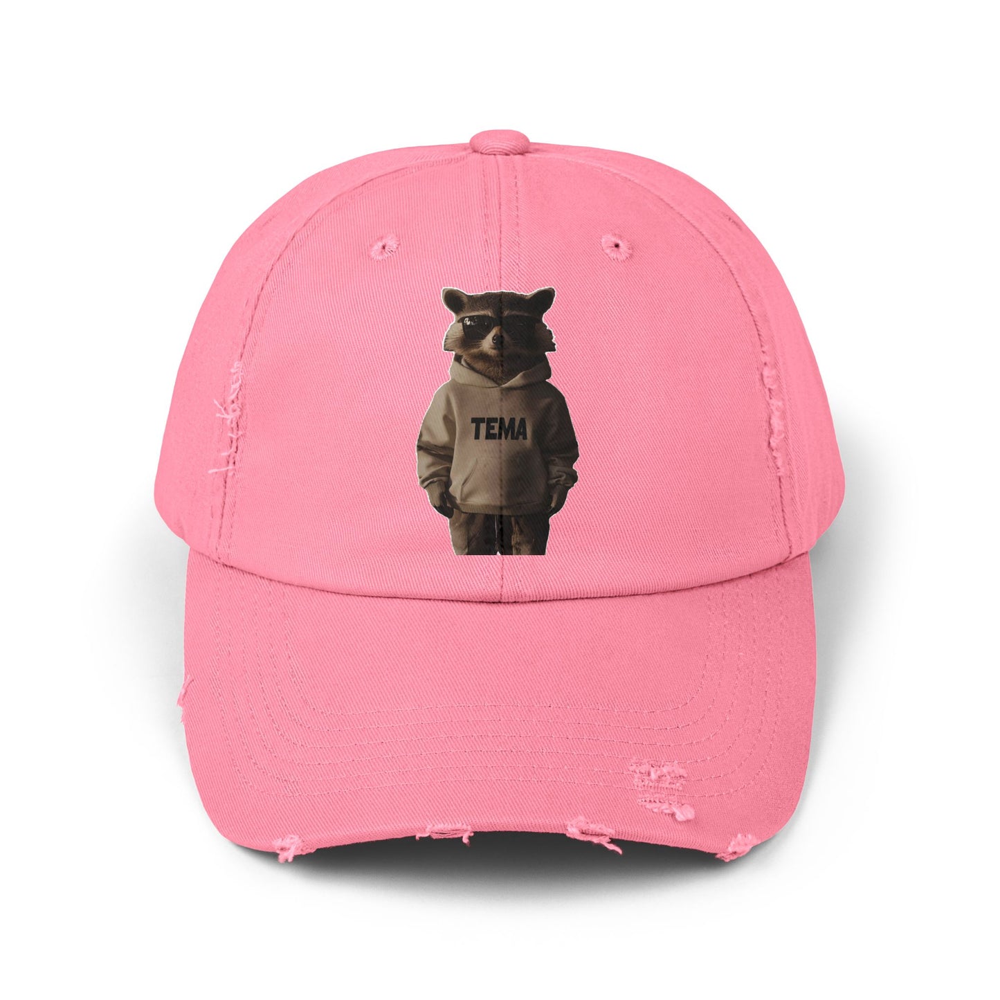 TEMA Distressed Cap
