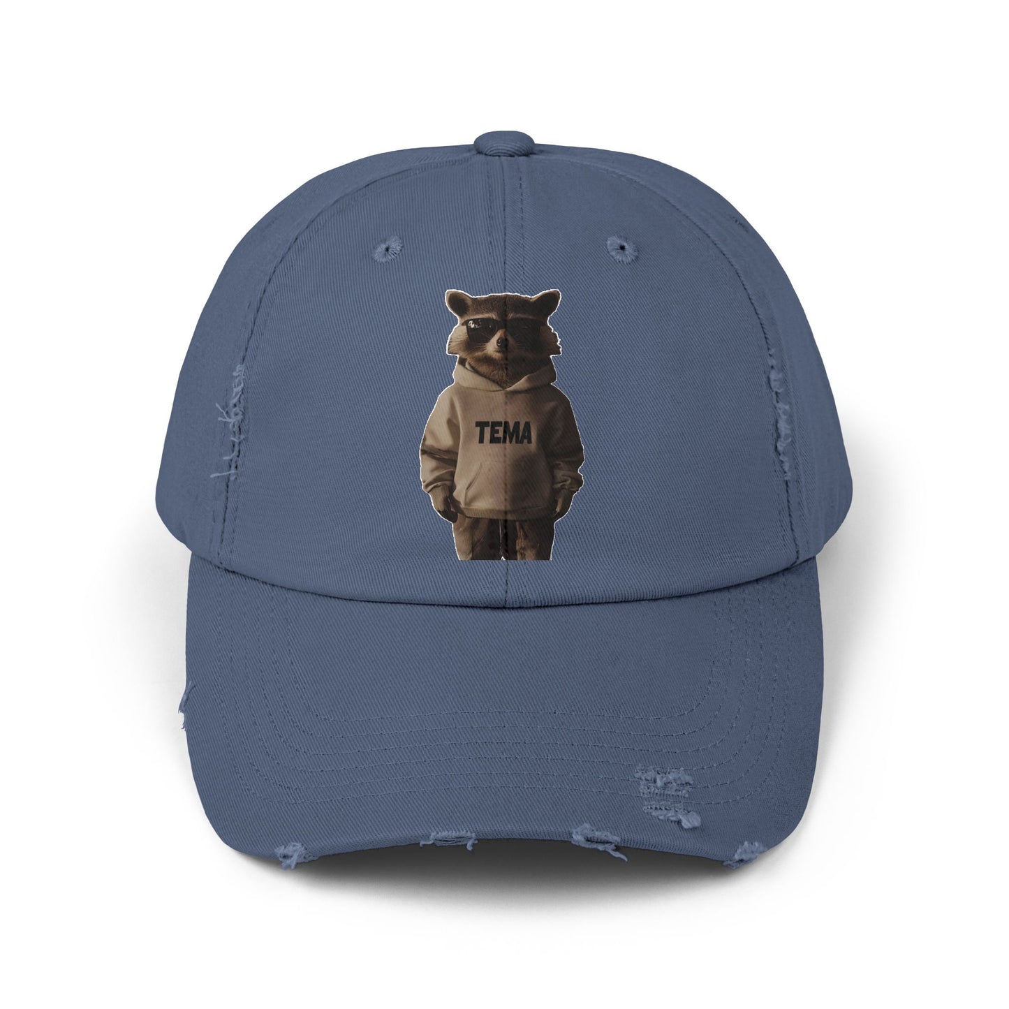 TEMA Distressed Cap