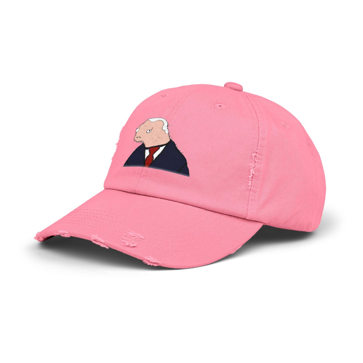 BODEN Distressed Cap