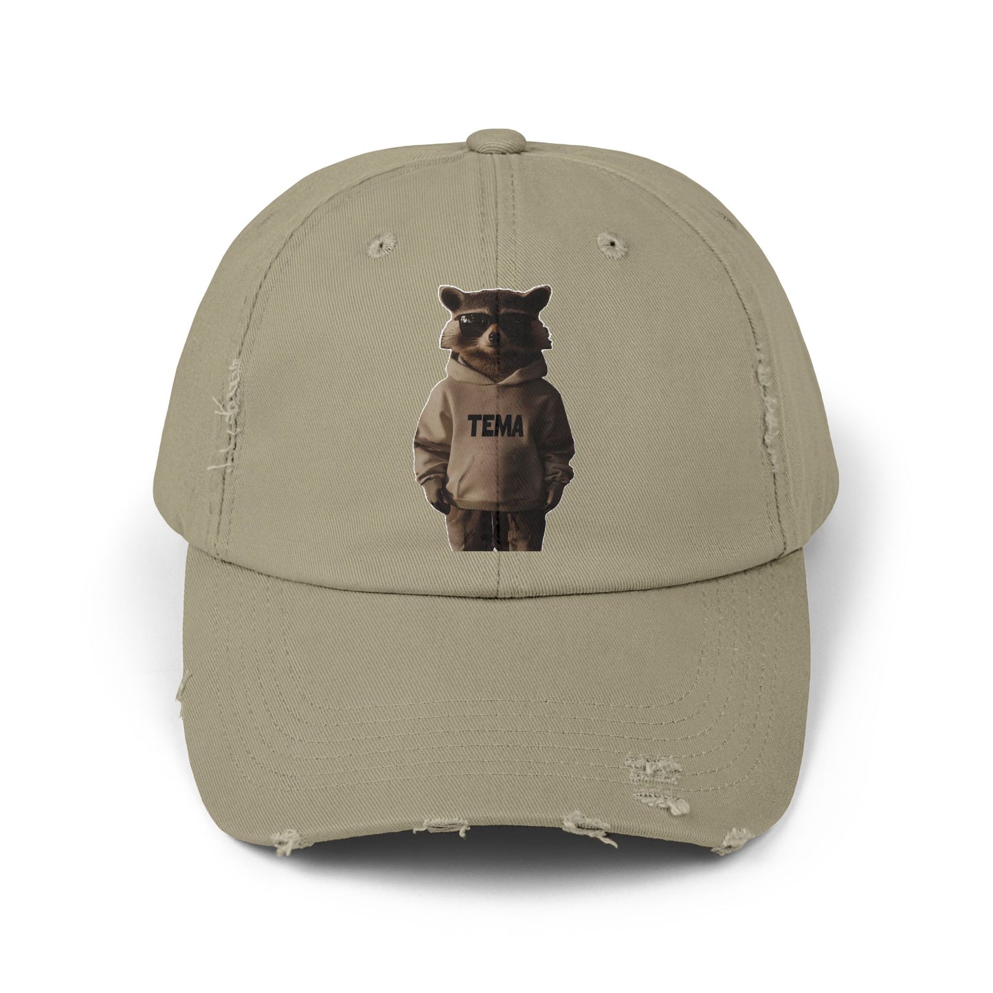TEMA Distressed Cap