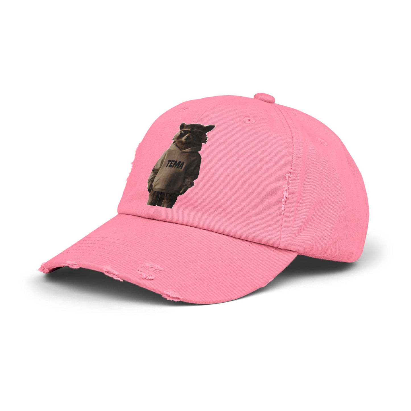 TEMA Distressed Cap