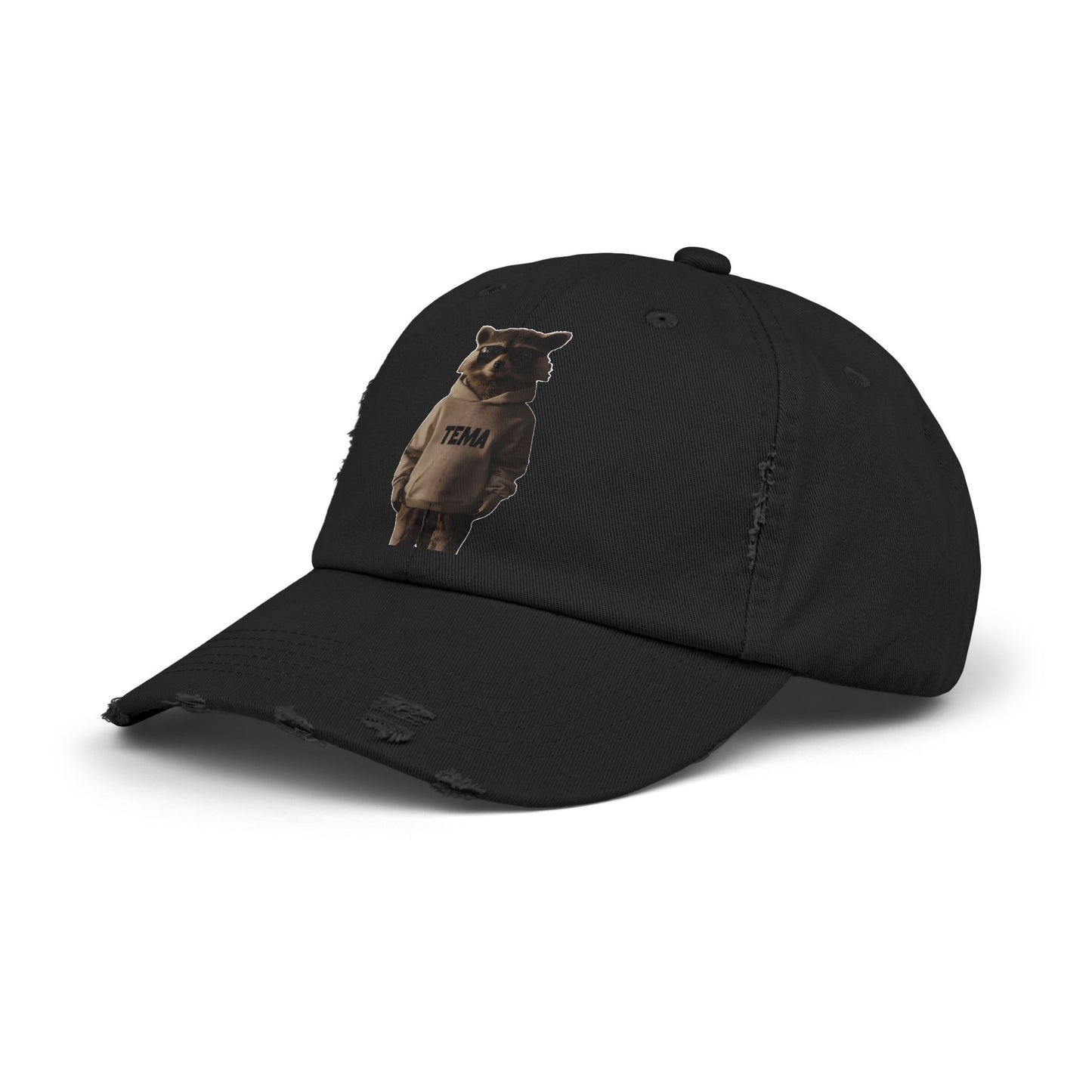 TEMA Distressed Cap