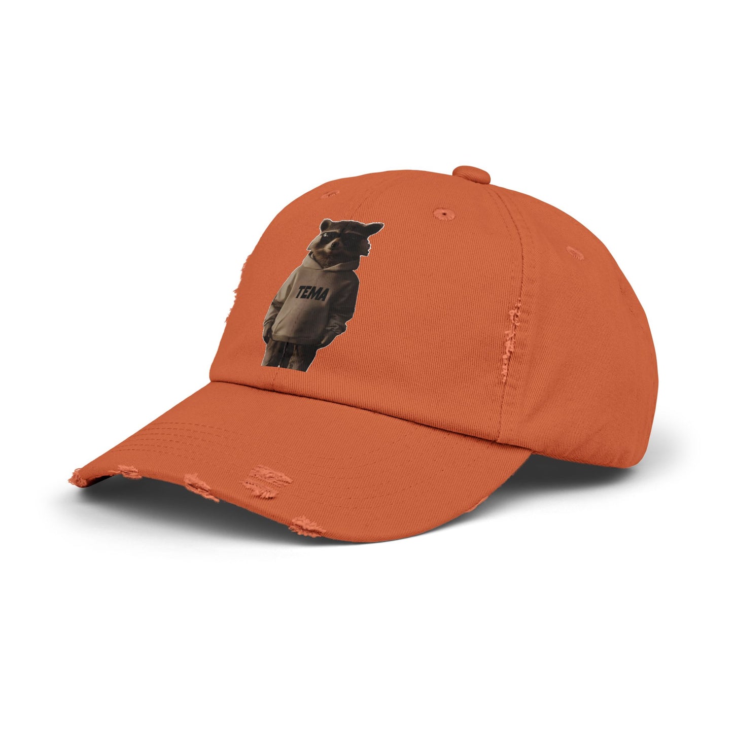 TEMA Distressed Cap