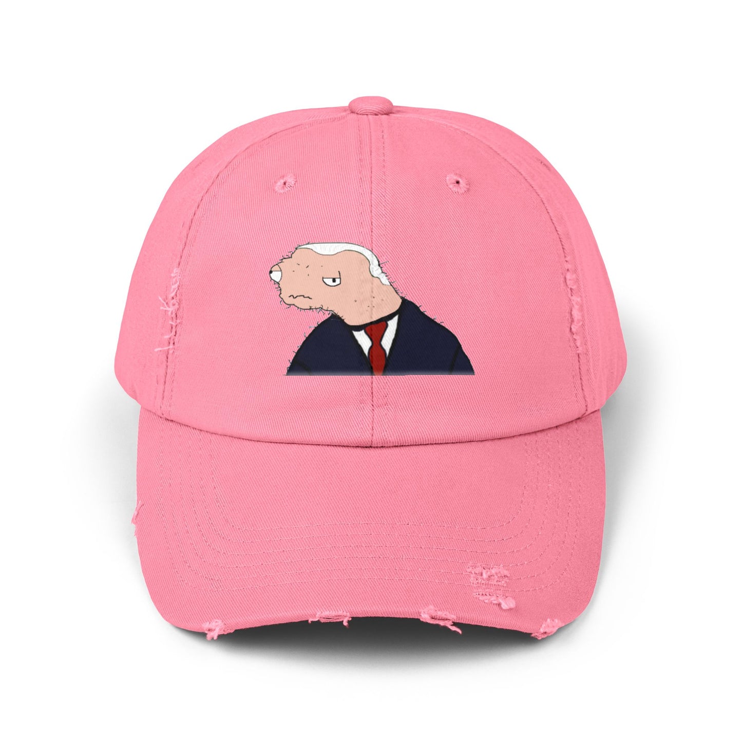 BODEN Distressed Cap