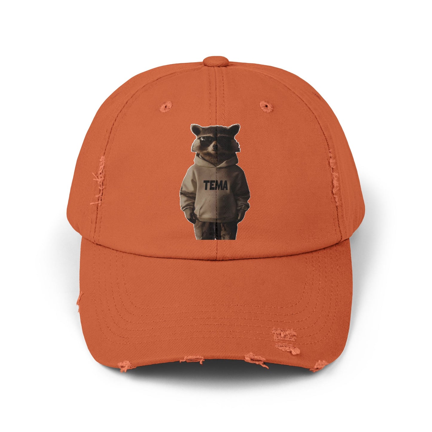 TEMA Distressed Cap