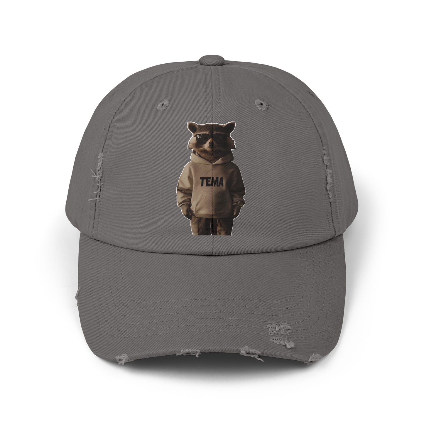 TEMA Distressed Cap